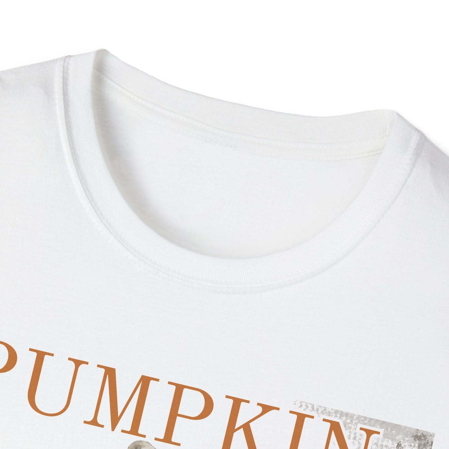 Fall Pumpkin Season T-Shirt